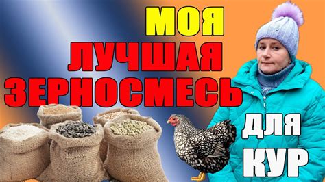 Моя лучшая зерносмесь для кур. - YouTube