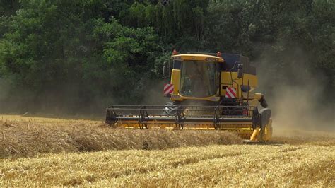 ŻNIWA JĘCZMIENIA Z NOWYMI NABYTKAMI NEW HOLLAND CSX 7060 HL 12t