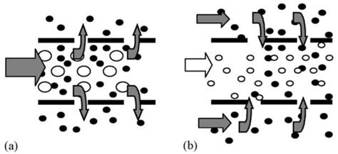 Chemengineering Free Full Text Recent Advances In The Preparation