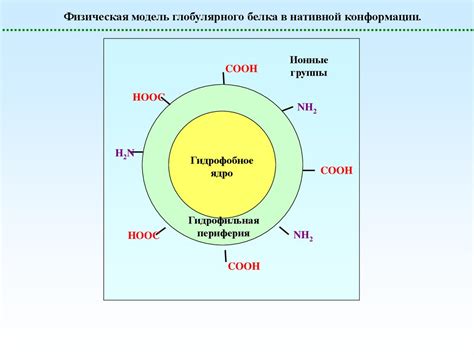 Полиэлектролиты. (Тема 3) - online presentation