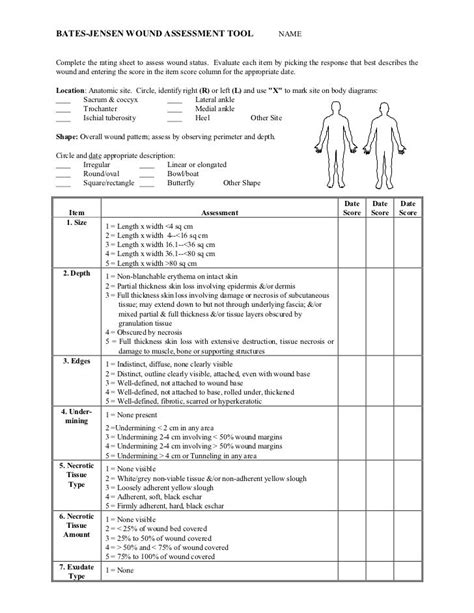 Wound Assessment Chart Pdf