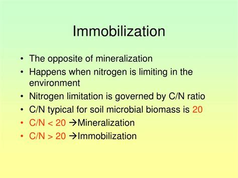 Ppt Nitrogen Cycle Powerpoint Presentation Id5576516