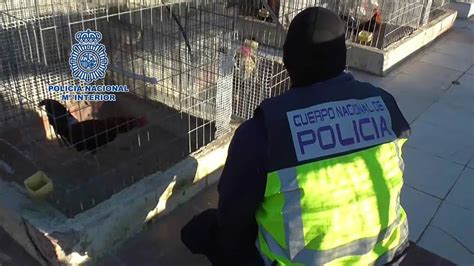 Policía Nacional detiene a 182 personas que participaban en el