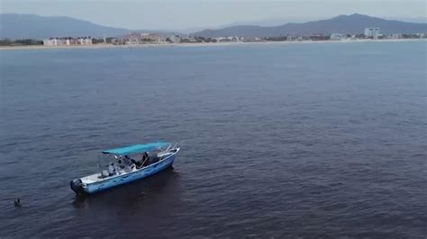 Alerta Por Marea Roja T Xica En Manzanillo Colima N