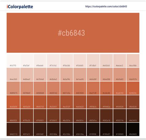 Terracotta information | Hsl | Rgb | Pantone