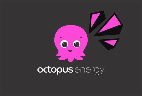 Octopus Energy Tutte Le Offerte Contatti E Recensioni