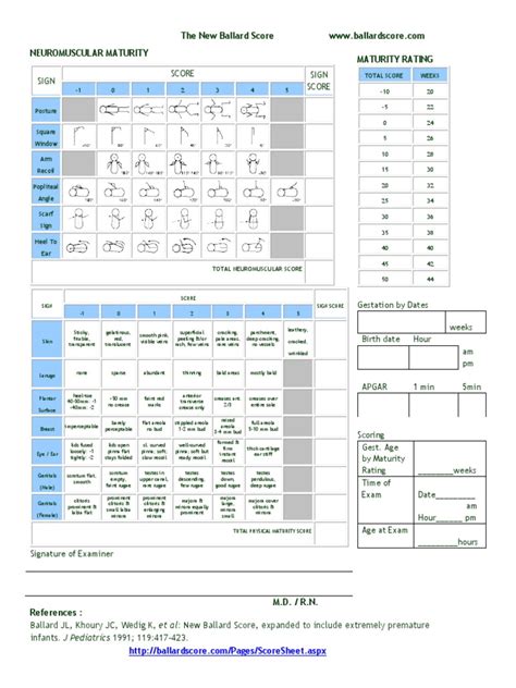 The New Ballard Score Neuromuscular Maturity Maturity Rating