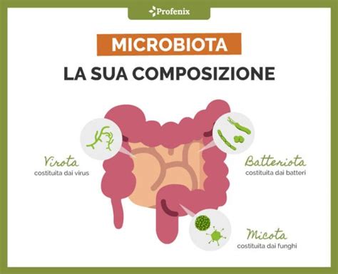 Microbiota intestinale cos è a cosa serve e come tenerlo in salute