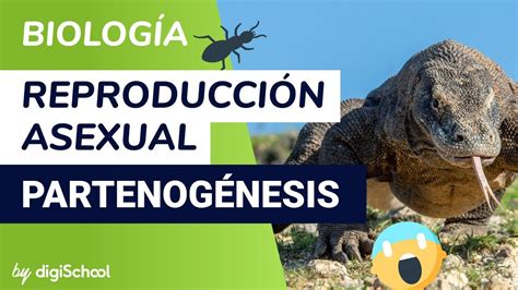 Mecanismos De Reproducción Asexual Partenogénesis Biología