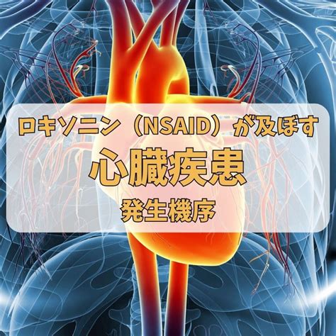 ロキソニンなどの非ステロイド性抗炎症薬（nsaid）が及ぼす心臓疾患の発生機序