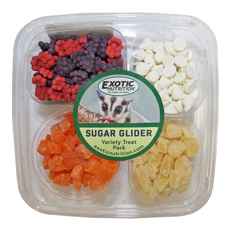 Feeding Your Sugar Glider Delicious Treats - Pet Food Guide