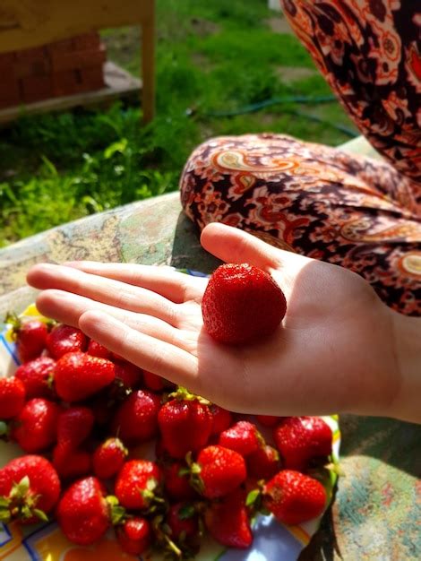 Premium Photo Close Up Of Woman Holding Strawberry