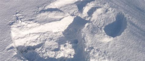 Naked Snow Angels TheUMB