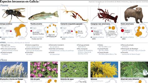 Especies Invasoras En Galicia