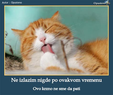 Motivacioni posteri sa životinjama