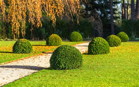 Sevenoaks, Kent, Country Garden | Land Formation - Graduate Landscapes