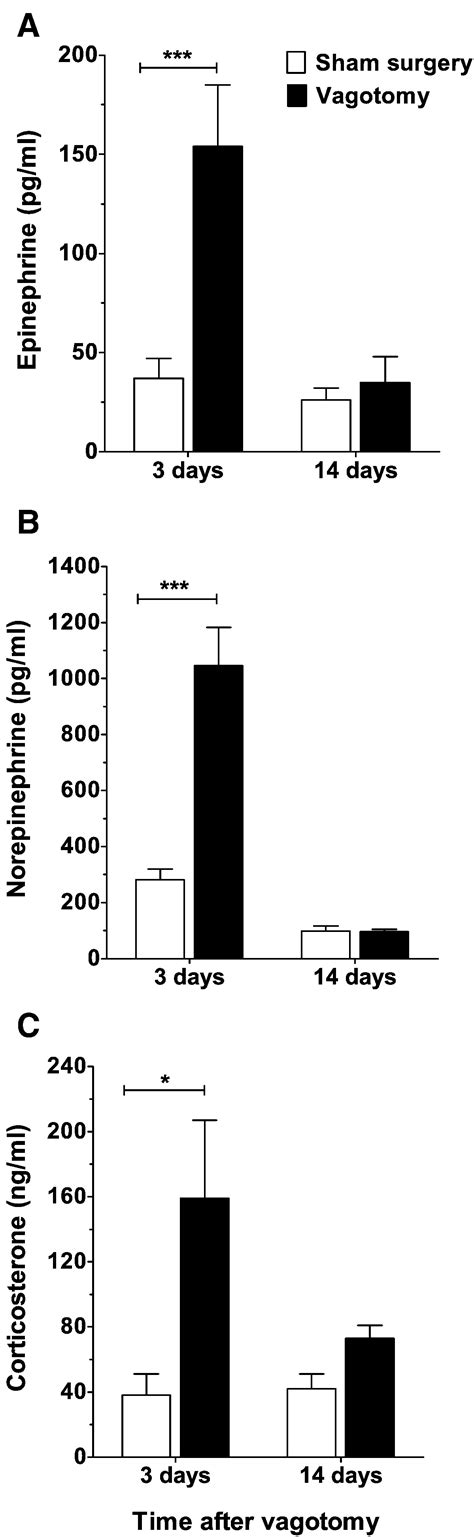 Subdiaphragmatic Vagotomy Enhances Stress Induced Epinephrine Release