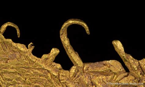 Minerals, Crystals & Fossils - Gold - Sonora, Mexico Sculptural ...