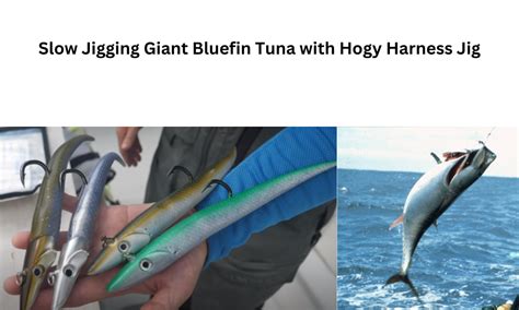 Slow Jigging Giant Bluefin Tuna With Hogy Harness Jig Attractive Fishing