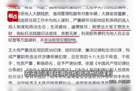 辽宁省政府原副省长、公安厅原厅长王大伟严重违纪违法被“双开”王大伟严重违纪