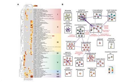 Functional Enrichment Analysis Of Degs Using Metascape A Heatmap Of