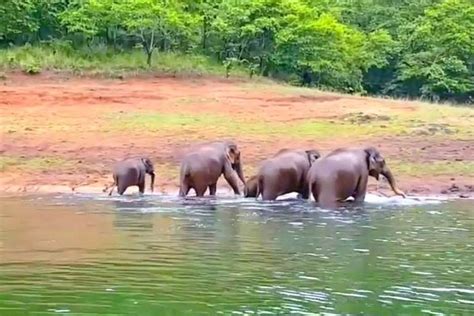 Wildlife Sanctuaries in Kerala