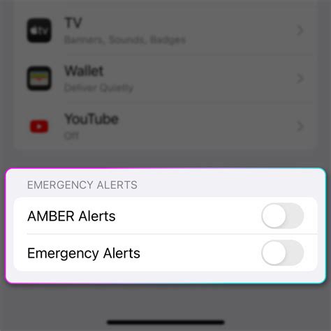 How To Turn Off Emergency Alerts On Apple Iphone 14 Pro