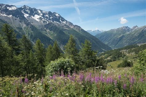 L Tschentaler H Henweg Panoramaweg Von Lauchernalp Zur Fafleralp