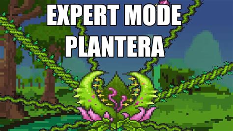 Expert Mode Plantera Terraria 1 3 Youtube