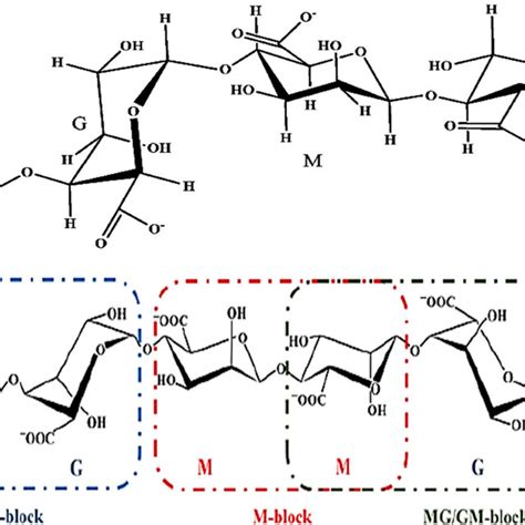 Chemical Structure Of Alginate Ali And Ahmed 2018 Martau Mihai Download Scientific