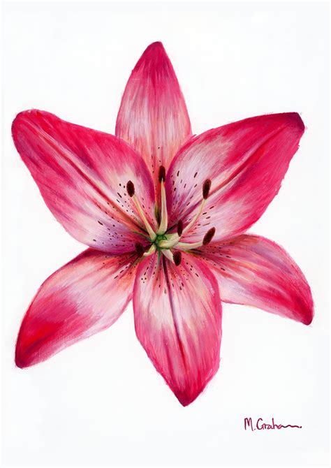 Lily Print Flower Painting Acrylic Botanical Painting Gallery Wall