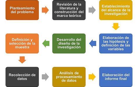 Fases Y Tipos De Investigacion Cientifica Images Hot Sex Picture