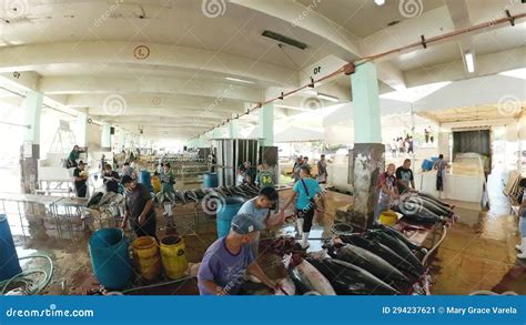 General Santos City Fish Port Complex Philippines Stock Video Video