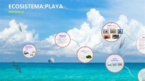 Ecosistema Playa Costa Azul By Karen Gutierrez Casas On Prezi