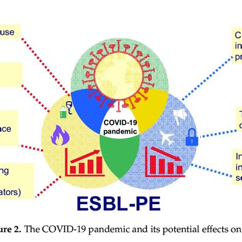 The Covid Pandemic And Its Potential Effects On Esbl Pe Infections