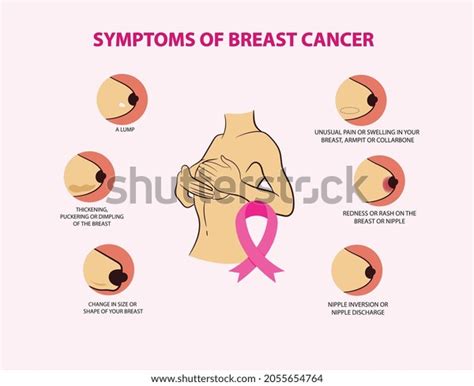 Symptoms Breast Cancer Awareness Infographics Vector Stock Vector