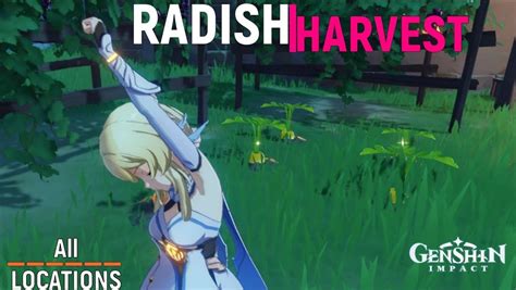 How To Use And Where To Find Radish In Genshin Impact