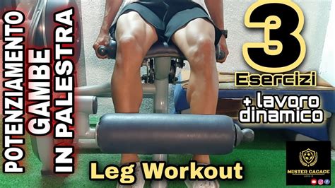 Come Allenare Le Gambe In Palestra Esercizi Potenziamento Gambe