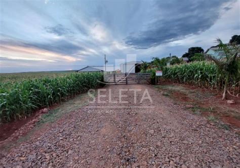 Fazendas à venda no Zona Rural em Céu Azul Chaves na Mão