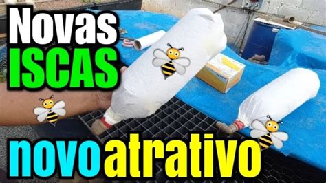 Novo Atrativo Para Abelhas Sem Ferr O E Novas Iscas Pet Abelhas Para