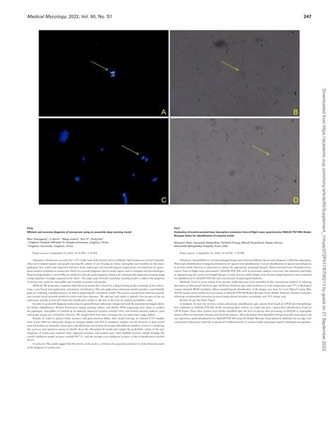 Pdf P Evaluation Of Matrix Assisted Laser Desorption Ionization