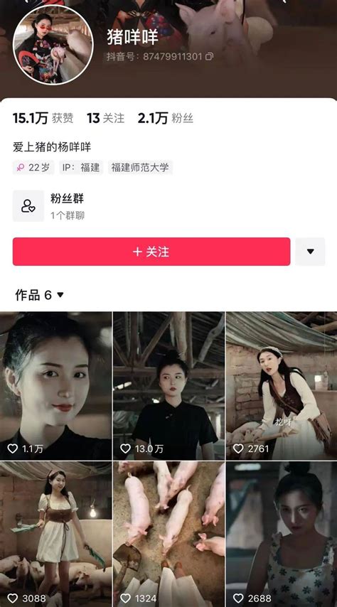 单月涨粉228万，为何大家都爱看美少女优雅养猪？ 鸟哥笔记