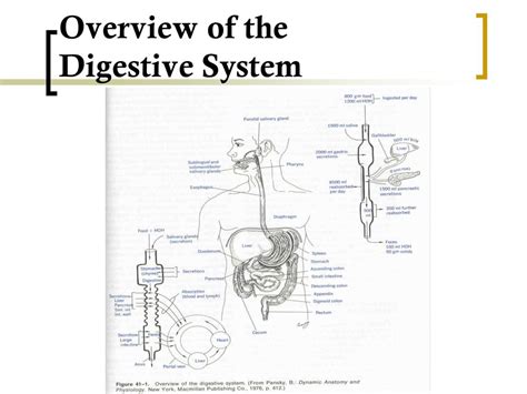 Airway Management O2 Delivery Devices Nasogastric Tube Ngt Ppt