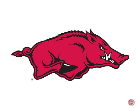 Arkansas Razorbacks Mascot Logo Hd Wallpaper Pxfuel