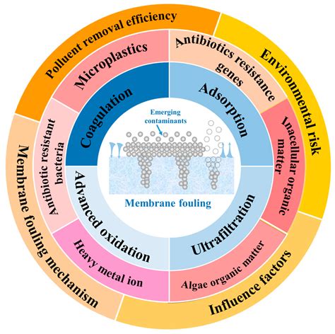 Membranes Free Full Text Reduction Of Ultrafiltration Membrane