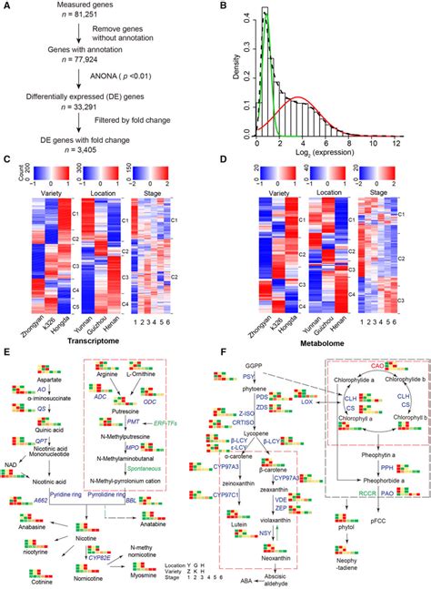 Analyses Of Differentially Expressed Genes And Metabolites A Diagram