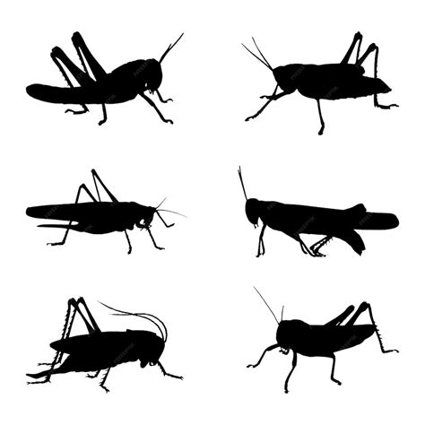 Premium Vector Grasshoppers Silhouette Collection Set Vector