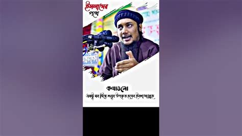 কথাগুলো একটু মন দিয়ে শুনে যান উপকৃত হবেন। Abu Taha Muhammad Adnan। আবু