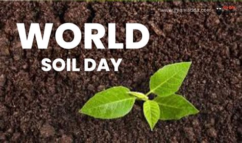 Happy World Soil Day 2023 Quotes Poster Theme Message