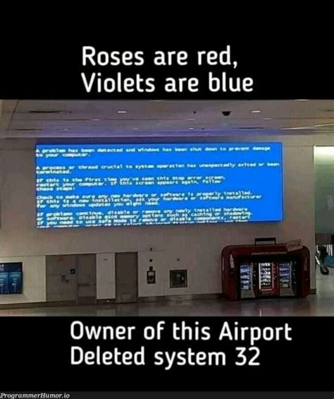 Blue screen – ProgrammerHumor.io